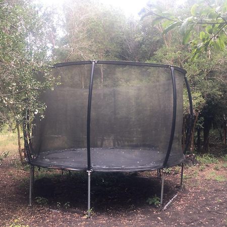 Cabanas Ensenada Bosque Nativo Экстерьер фото