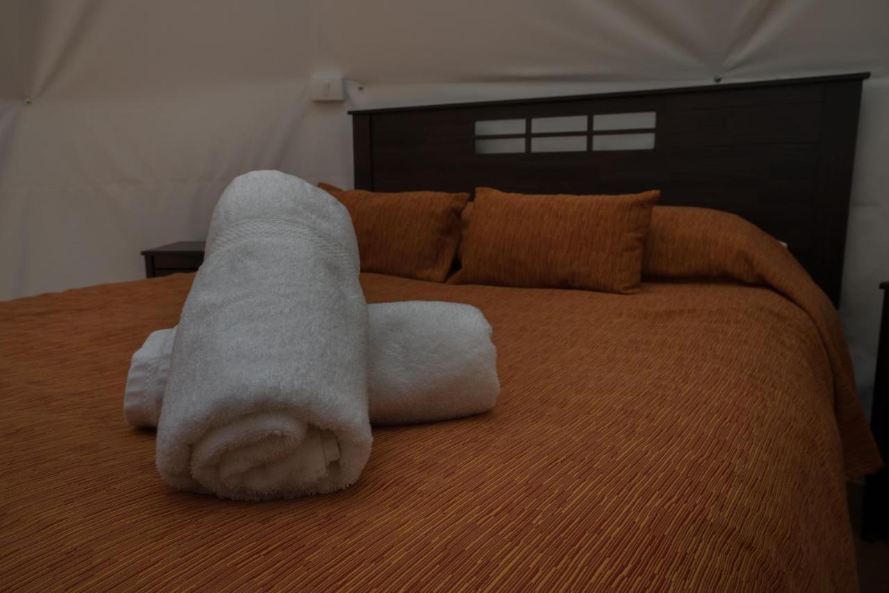 Cabanas Ensenada Bosque Nativo Экстерьер фото