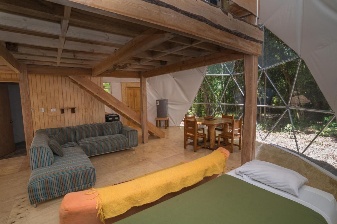 Cabanas Ensenada Bosque Nativo Экстерьер фото