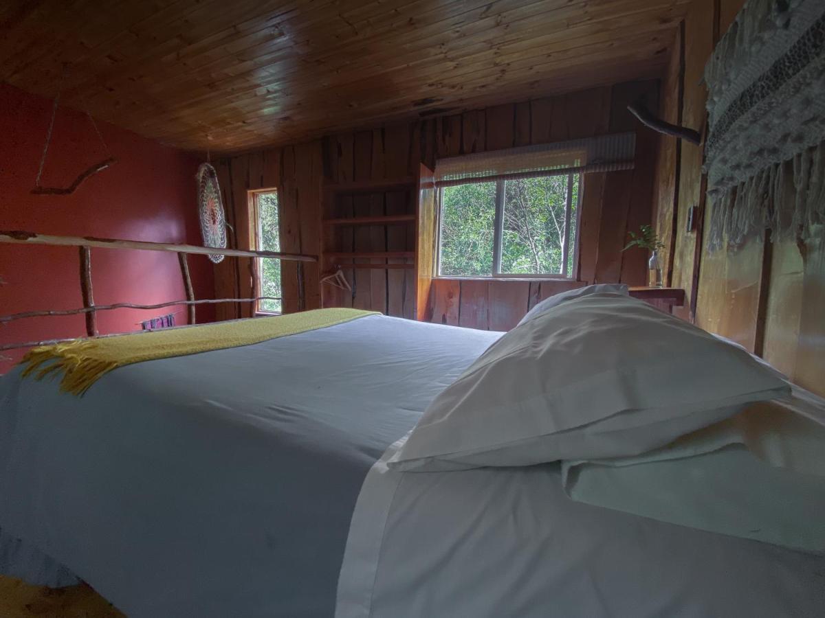 Cabanas Ensenada Bosque Nativo Экстерьер фото