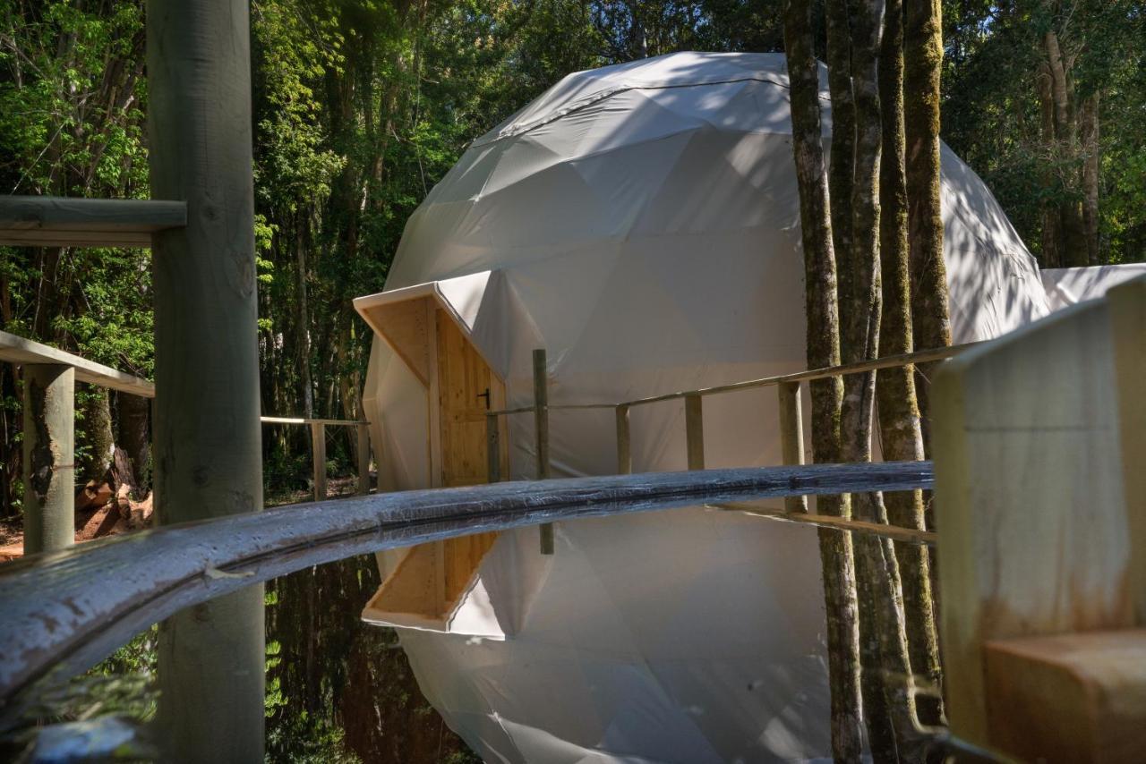 Cabanas Ensenada Bosque Nativo Экстерьер фото
