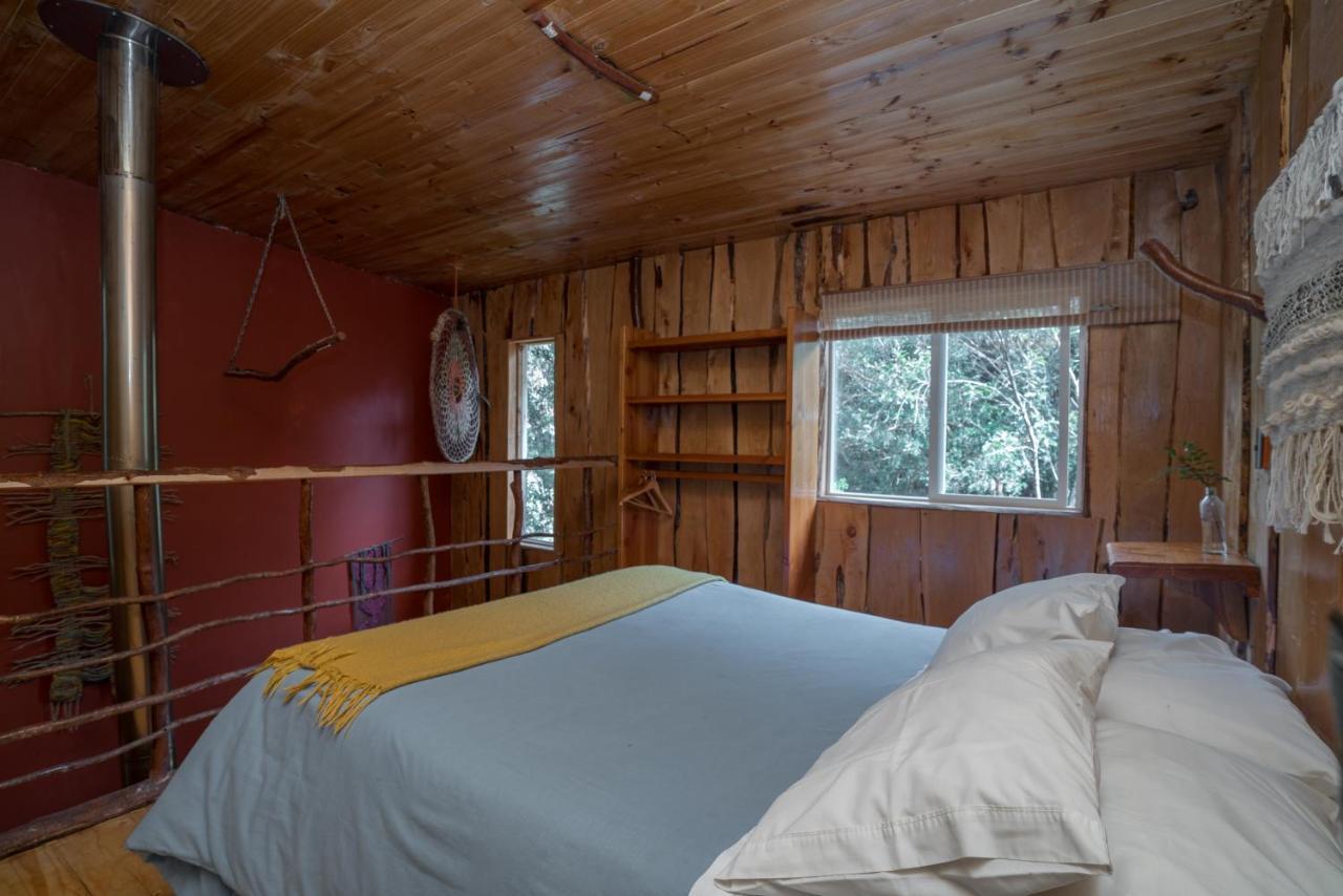 Cabanas Ensenada Bosque Nativo Экстерьер фото
