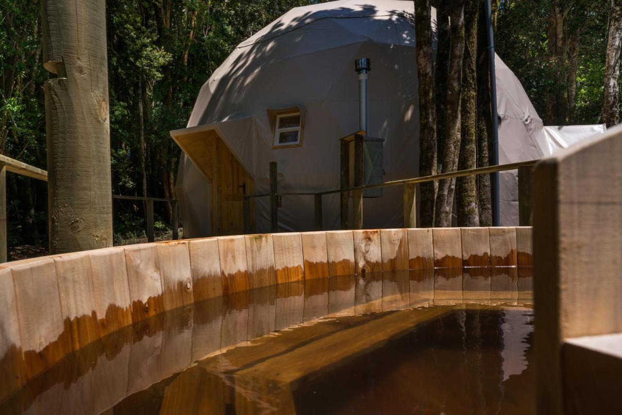 Cabanas Ensenada Bosque Nativo Экстерьер фото
