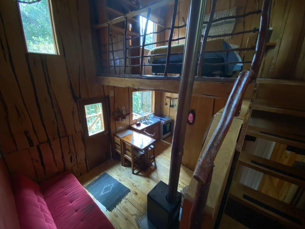 Cabanas Ensenada Bosque Nativo Экстерьер фото