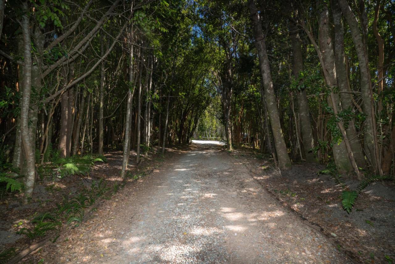 Cabanas Ensenada Bosque Nativo Экстерьер фото
