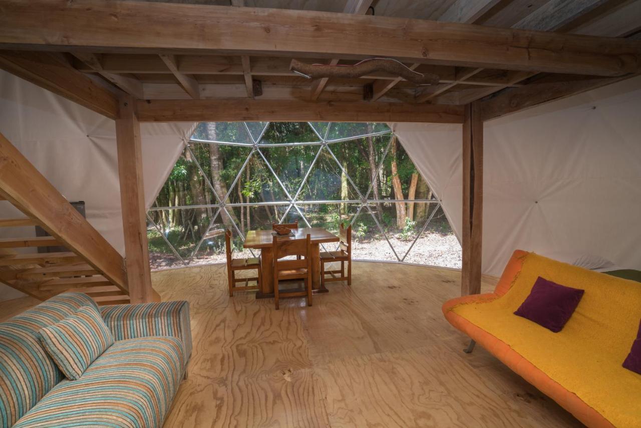 Cabanas Ensenada Bosque Nativo Экстерьер фото