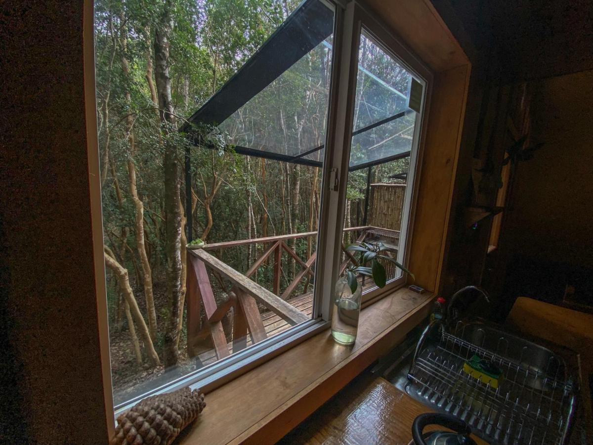 Cabanas Ensenada Bosque Nativo Экстерьер фото