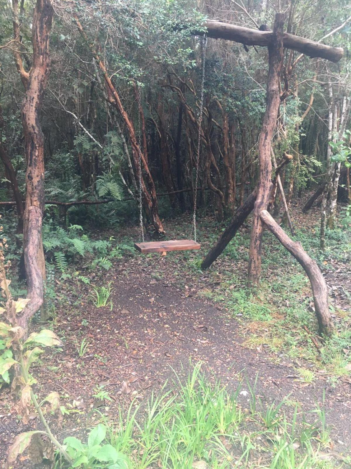 Cabanas Ensenada Bosque Nativo Экстерьер фото