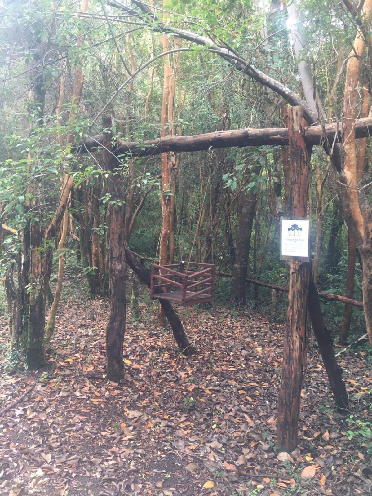 Cabanas Ensenada Bosque Nativo Экстерьер фото