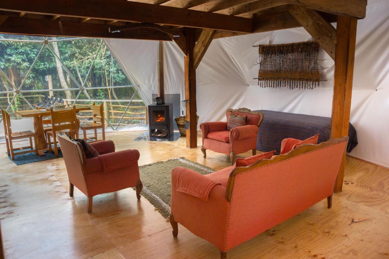 Cabanas Ensenada Bosque Nativo Экстерьер фото