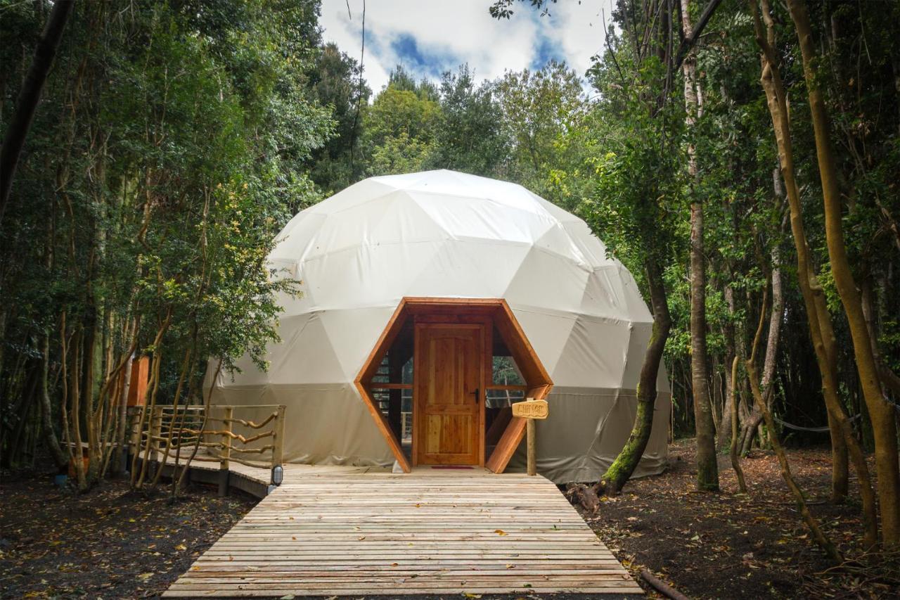 Cabanas Ensenada Bosque Nativo Экстерьер фото