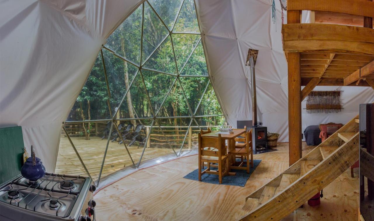 Cabanas Ensenada Bosque Nativo Экстерьер фото