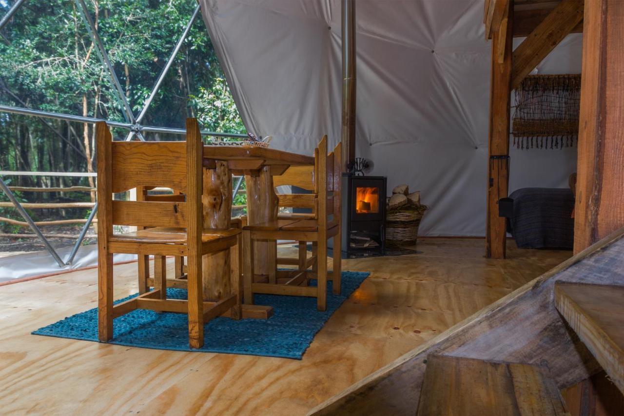 Cabanas Ensenada Bosque Nativo Экстерьер фото