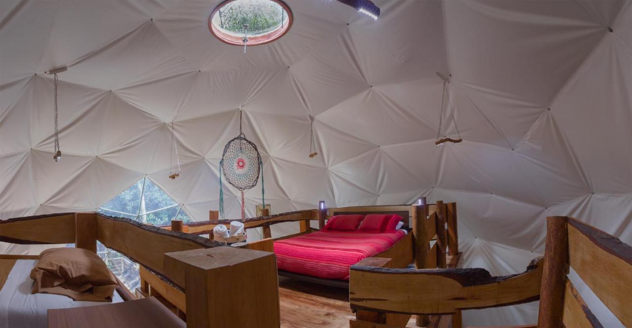 Cabanas Ensenada Bosque Nativo Экстерьер фото