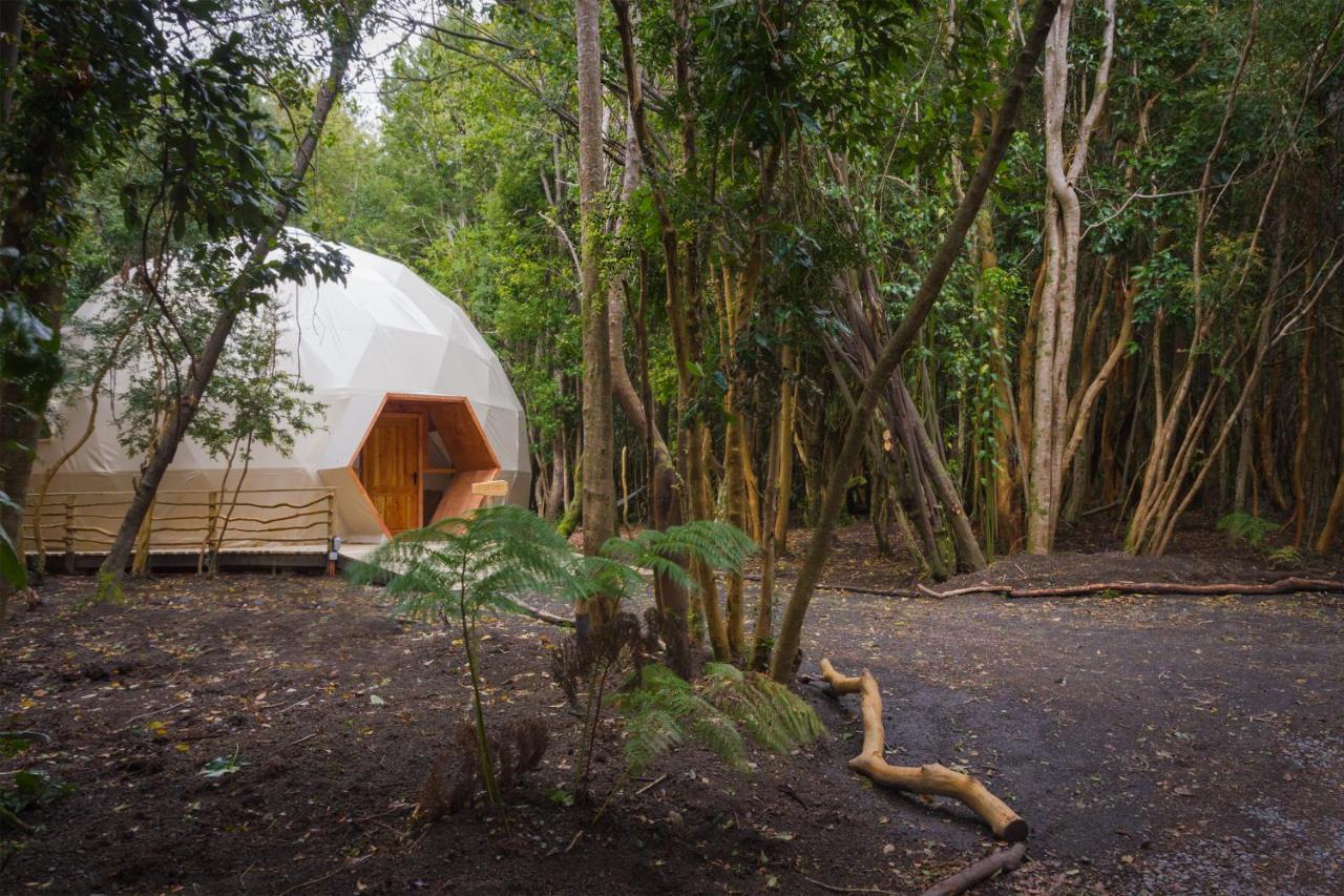 Cabanas Ensenada Bosque Nativo Экстерьер фото