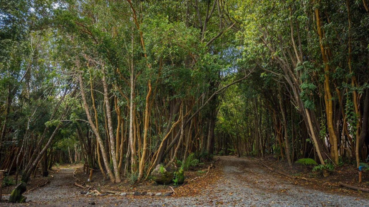 Cabanas Ensenada Bosque Nativo Экстерьер фото