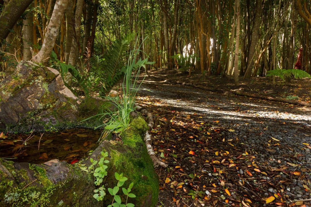 Cabanas Ensenada Bosque Nativo Экстерьер фото